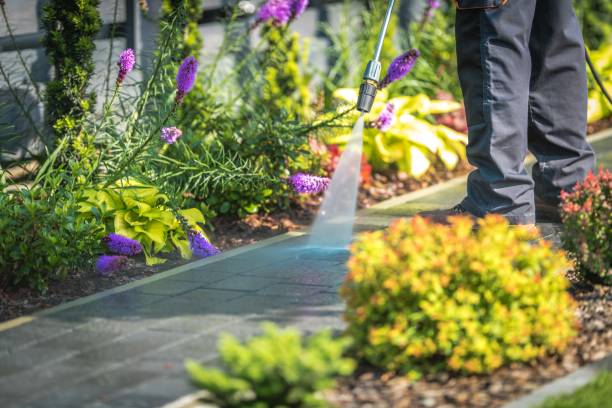 Best Parking Lot and Garage Cleaning  in Linden, NJ